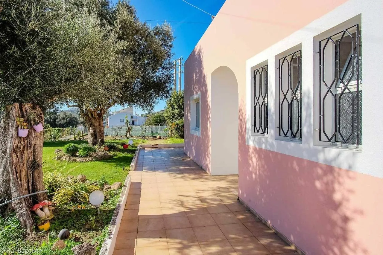 Charming House In Monchique With Shared Pool Villa